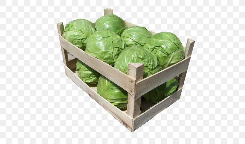 Romaine Lettuce Brussels Sprout Spring Greens Cruciferous Vegetables, PNG, 640x481px, Romaine Lettuce, Brussels Sprout, Cruciferous Vegetables, Food, Herb Download Free