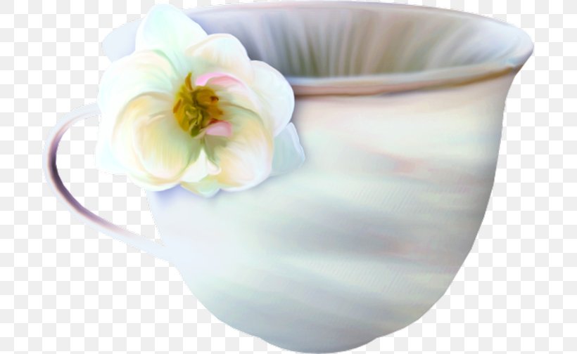 Saucer Porcelain Teacup Kop, PNG, 699x504px, Saucer, Cup, Dishware, Flower, Flowerpot Download Free