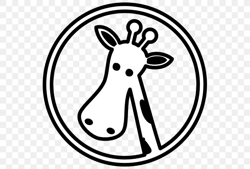 The White Giraffe Drawing Clip Art, PNG, 555x555px, Giraffe, Animal, Area, Art, Black Download Free