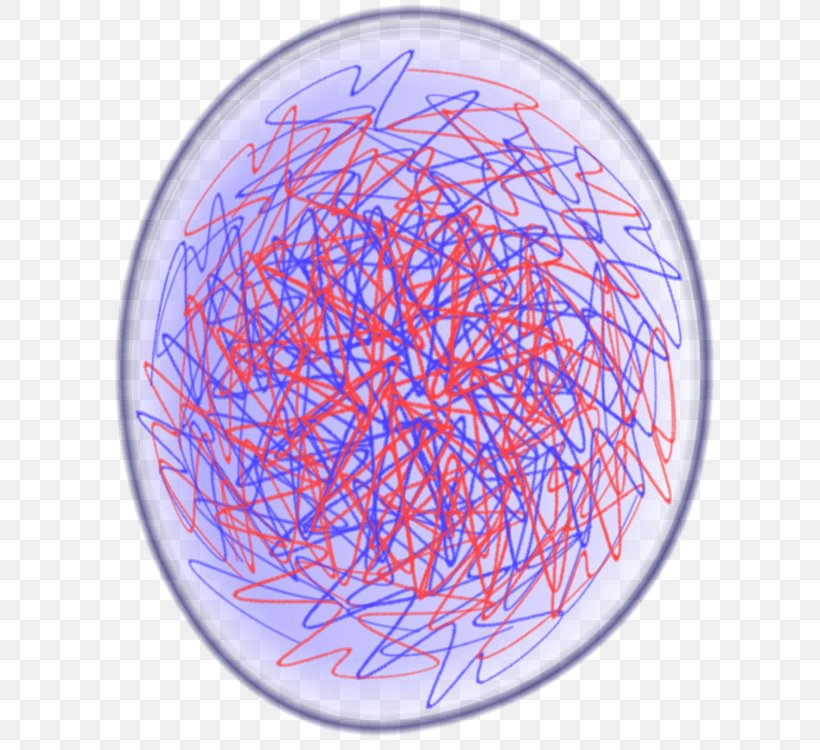 Circle Organism Mitosis, PNG, 671x750px, Organism, Mitosis, Sphere Download Free