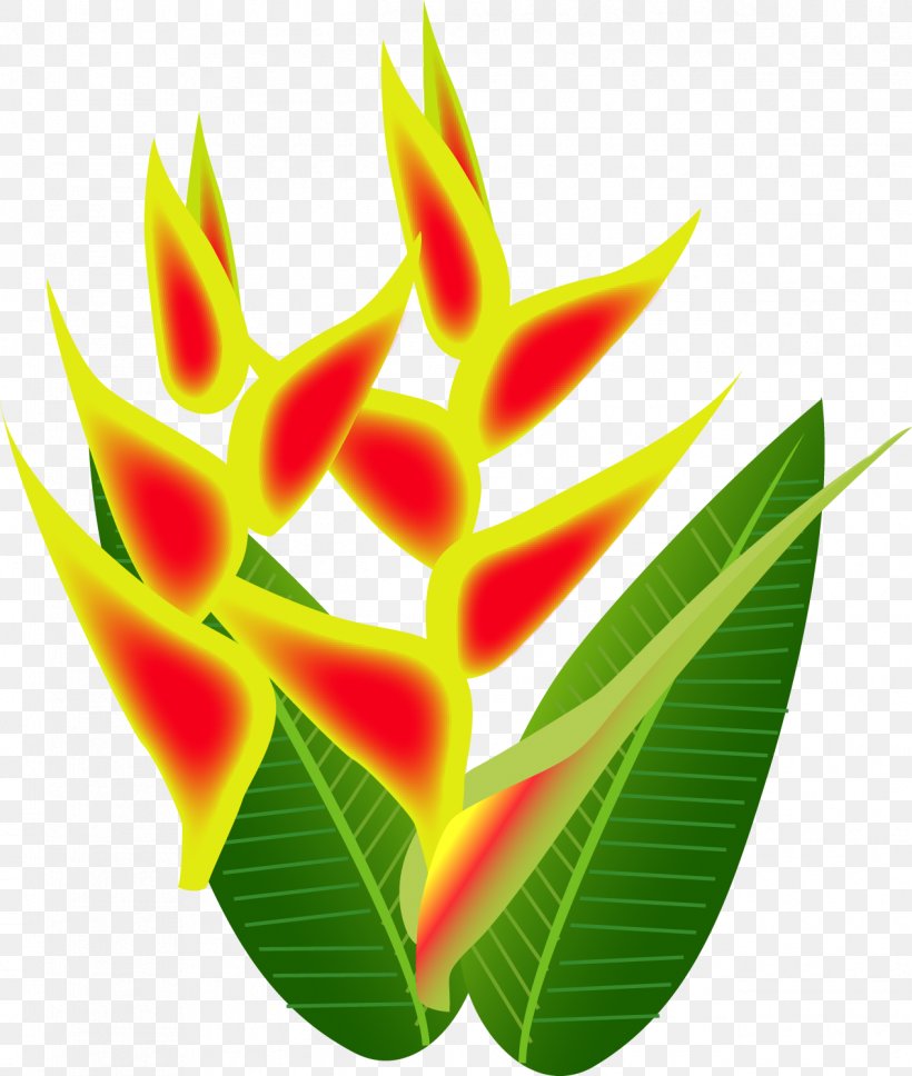 Lobster-claws Leaf Petal Plant Stem, PNG, 1266x1495px, Lobsterclaws, Flower, Heliconia, Leaf, Petal Download Free