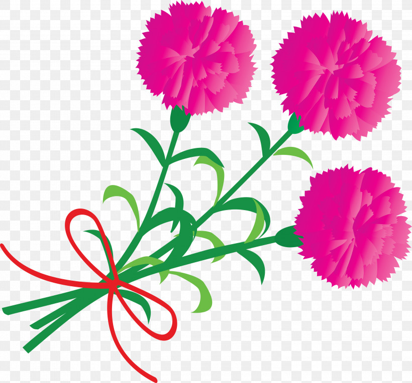 Mothers Day Carnation Mothers Day Flower, PNG, 3000x2797px, Mothers Day Carnation, Carnation, China Aster, Cut Flowers, Dianthus Download Free