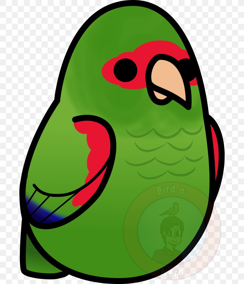 Parrot Beak Monk Parakeet Bird Jandaya Parakeet, PNG, 690x955px, Parrot, Artwork, Beak, Bird, Conure Download Free