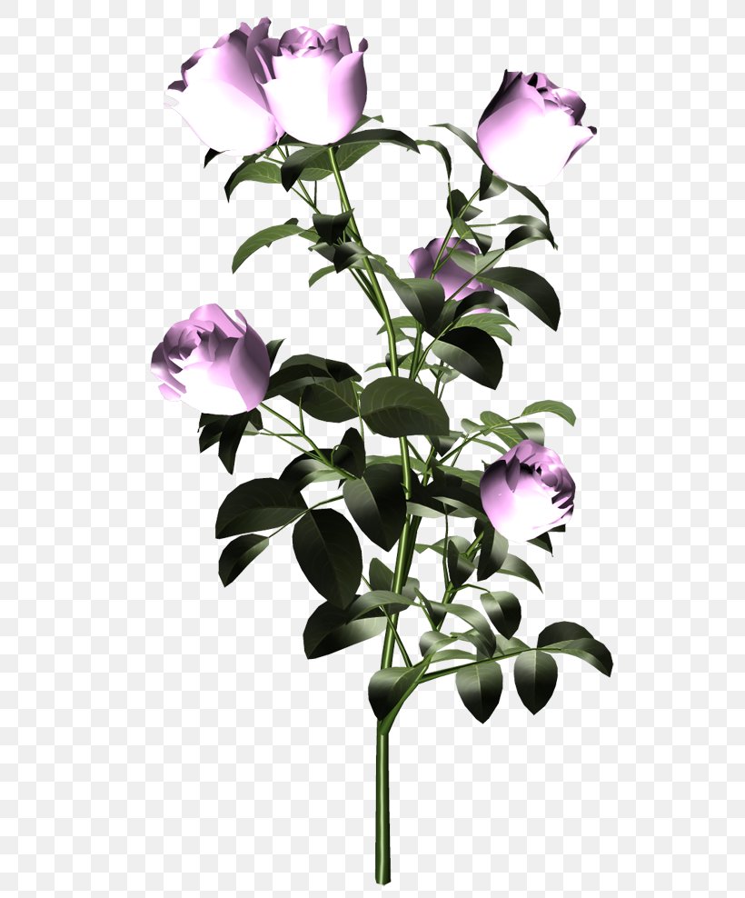 Cut Flowers Purple Plant Stem, PNG, 600x988px, Flower, Blog, Branch, Cut Flowers, Dimension Download Free