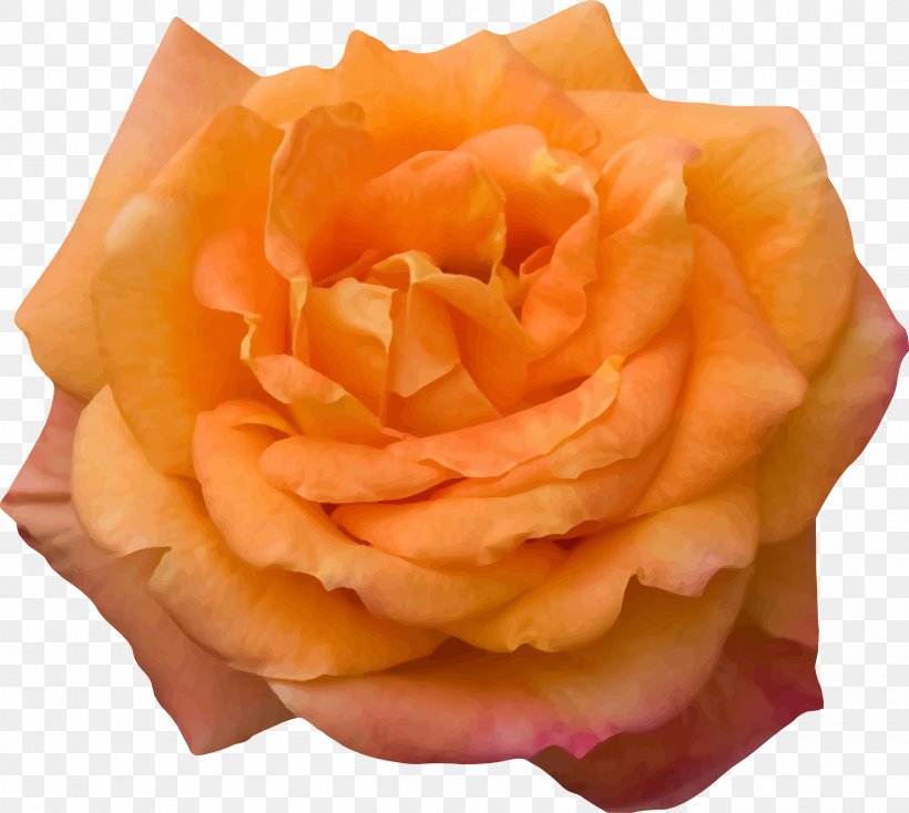 Garden Roses Clip Art, PNG, 2400x2150px, Garden Roses, Cut Flowers, Floral Design, Flower, Orange Download Free