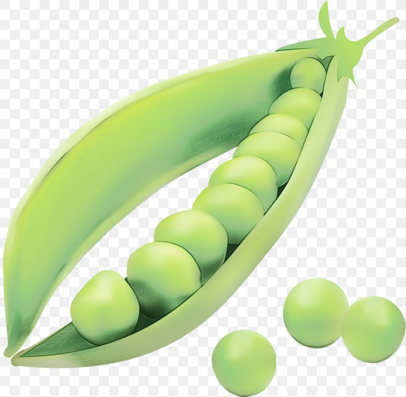 Snow Background, PNG, 1600x1566px, Snow Pea, Bean, Broad Bean, Food, Fruit Download Free