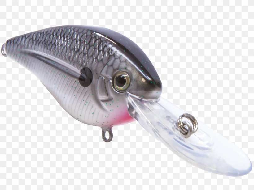 Spoon Lure Plug Fishing Baits & Lures Land Big Fish Store, PNG, 1200x900px, Spoon Lure, Bait, Com, Divemaster, Fish Download Free