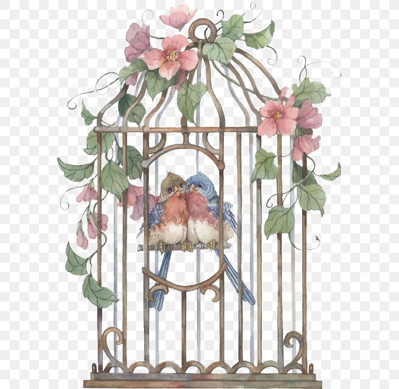 Birdcage Birdcage, PNG, 585x800px, Bird, Branch, Cage, Decoupage, Drawing Download Free