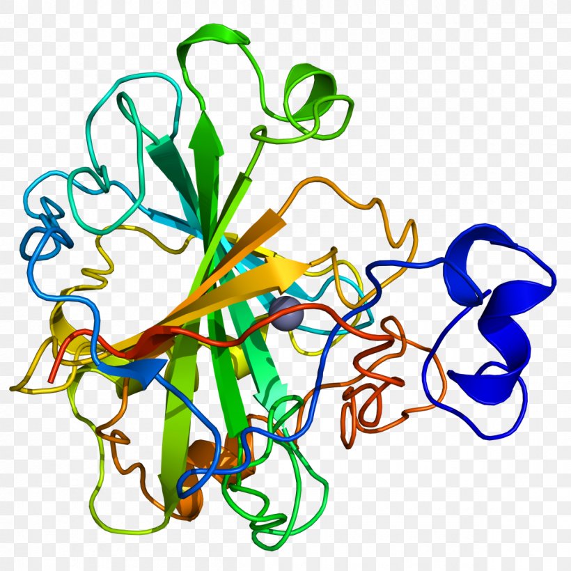 Carbonic Anhydrase Inhibitor Catalysis Enzyme Carbon Dioxide, PNG, 1200x1200px, Carbonic Anhydrase, Artwork, Bicarbonate, Branch, Carbon Dioxide Download Free