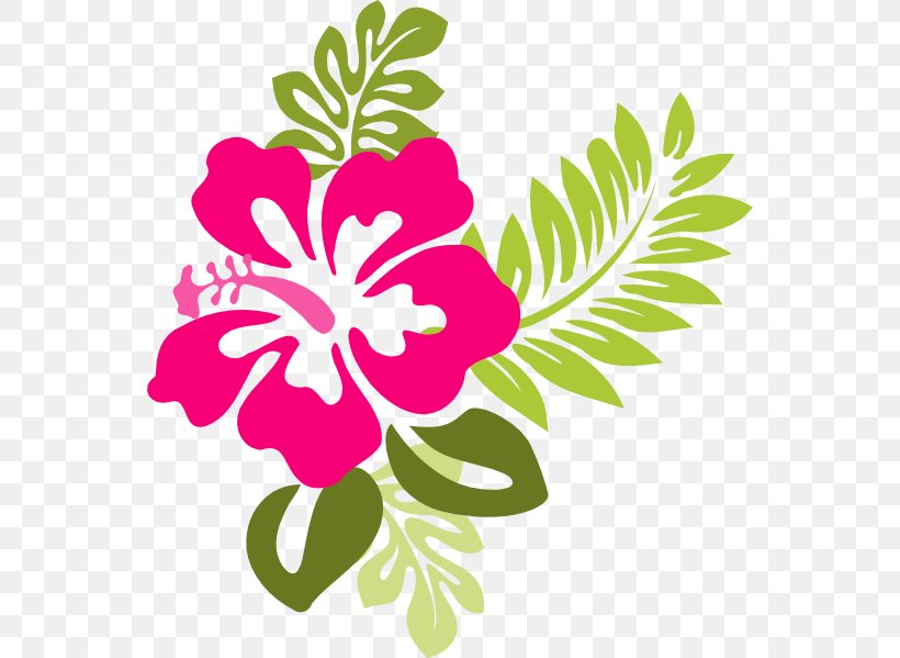 Hawaiian Hibiscus Free Content Clip Art, PNG, 552x599px, Hibiscus, Alyogyne Huegelii, Artwork, Blog, Cartoon Download Free