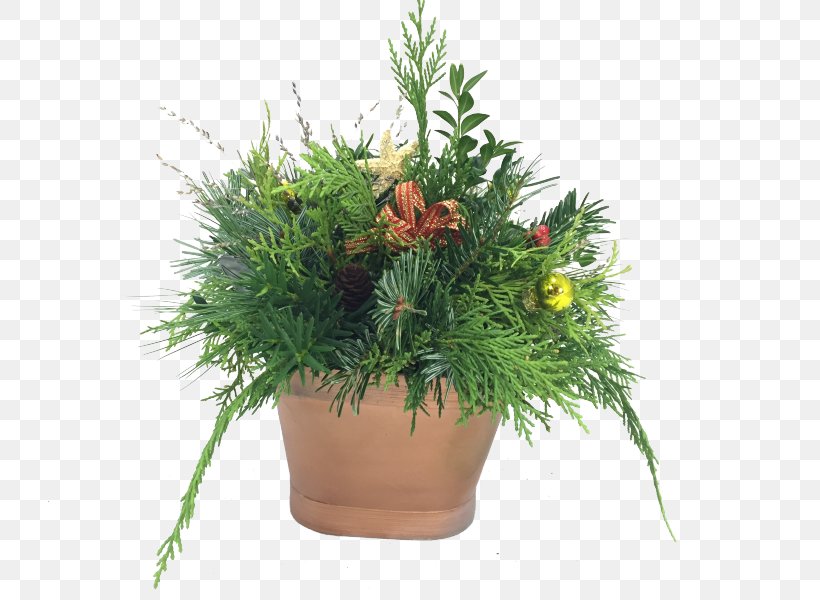 Houseplant Garden Flowerpot Centrepiece Lawn, PNG, 800x600px, Houseplant, Cedar, Centrepiece, Flower, Flowerpot Download Free