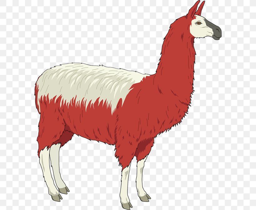 Llama Alpaca Free Content Clip Art, PNG, 600x673px, Llama, Alpaca, Camel Like Mammal, Cartoon, Chicken Download Free