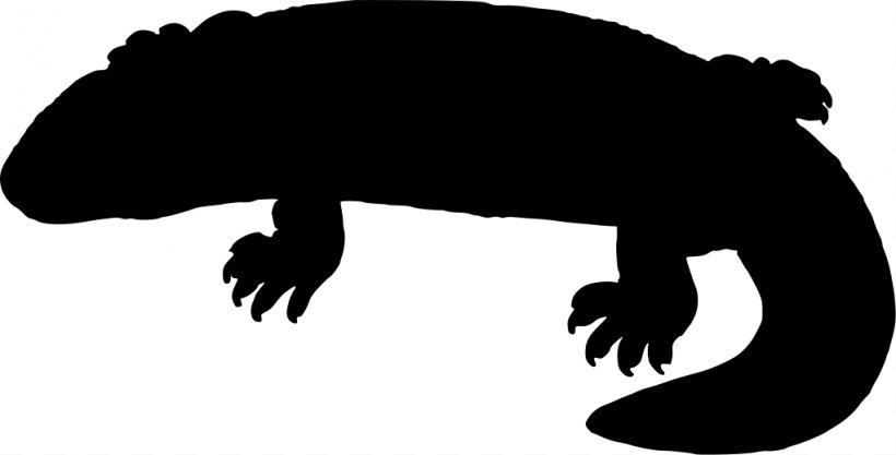 Silhouette Free Content Clip Art, PNG, 1022x520px, Silhouette, Amphibian, Animal, Black And White, Carnivoran Download Free