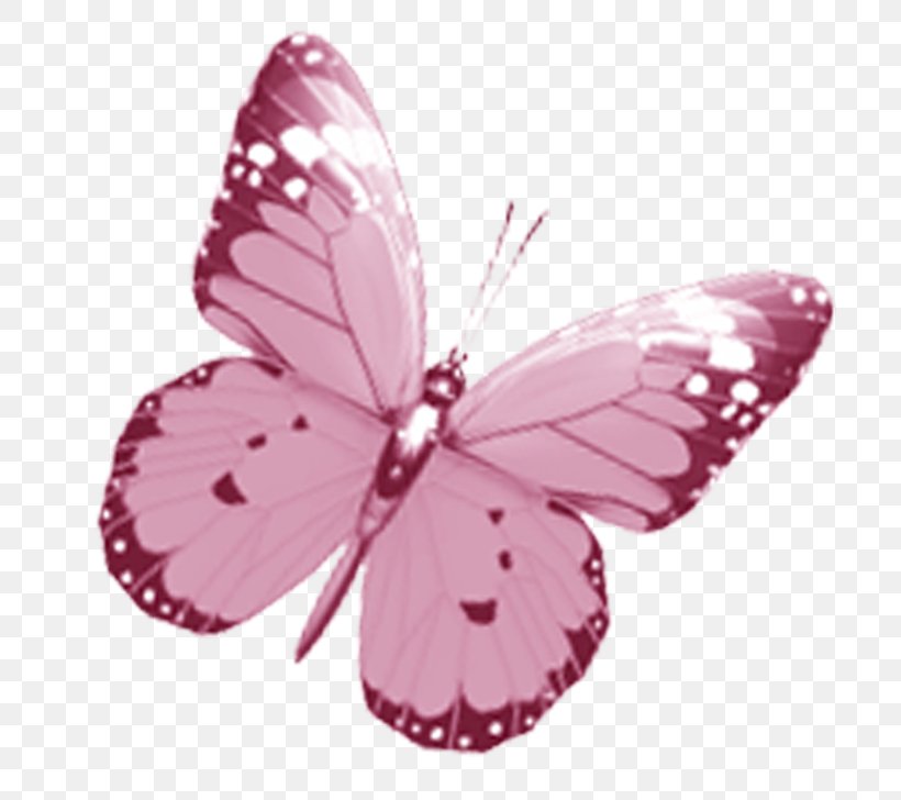 Butterfly Drawing Pink Clip Art, PNG, 782x728px, Butterfly, Arthropod, Brush Footed Butterfly, Butterflies And Moths, Color Download Free