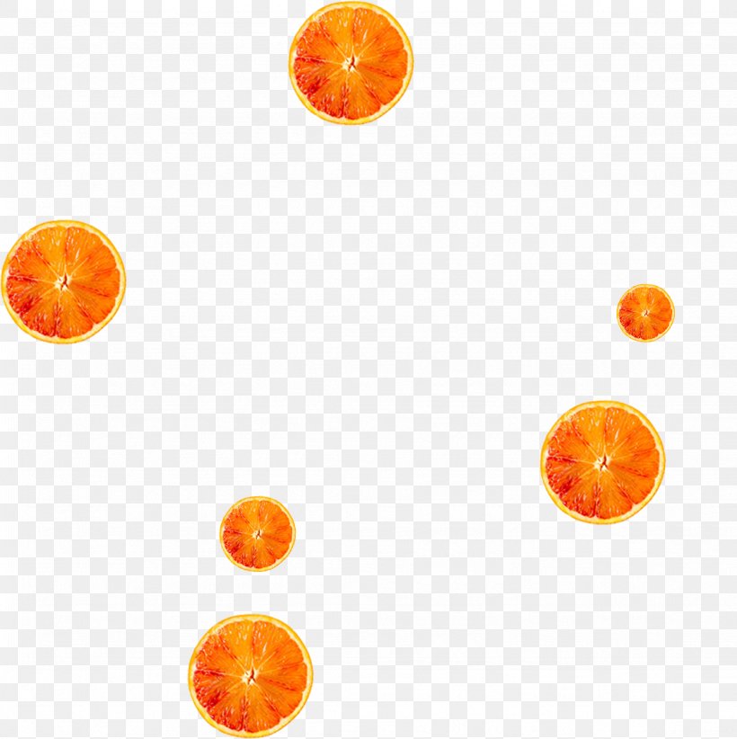 Orange Download Gratis, PNG, 1127x1130px, Orange, Computer, Fruit, Gratis, Point Download Free