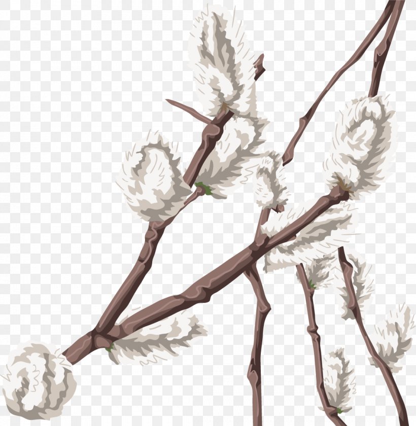 Twig Plant Stem Flowering Plant Rope, PNG, 1107x1135px, Twig, Branch, Flower, Flowering Plant, Plant Download Free
