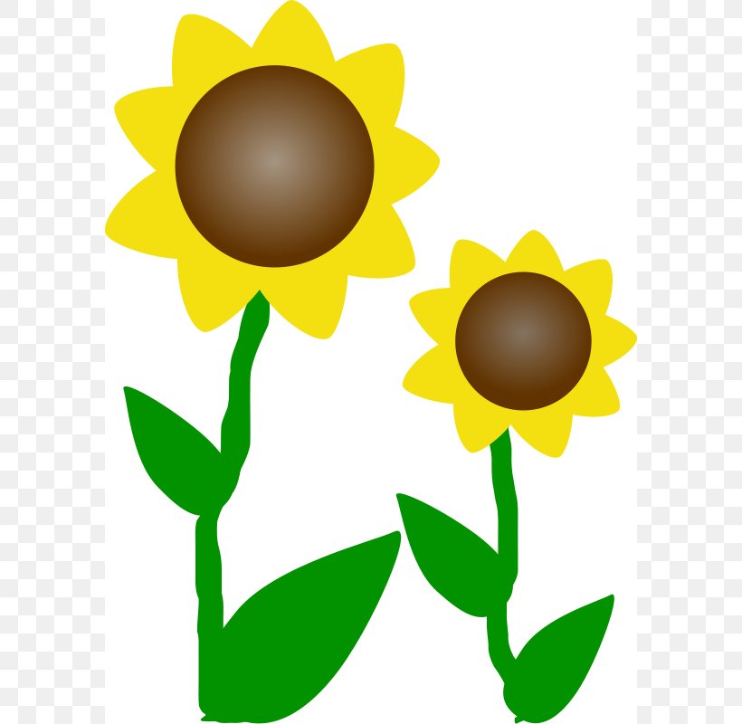 Common Sunflower Free Content Drawing Clip Art, PNG, 588x800px, Common Sunflower, Artwork, Daisy Family, Drawing, Flora Download Free