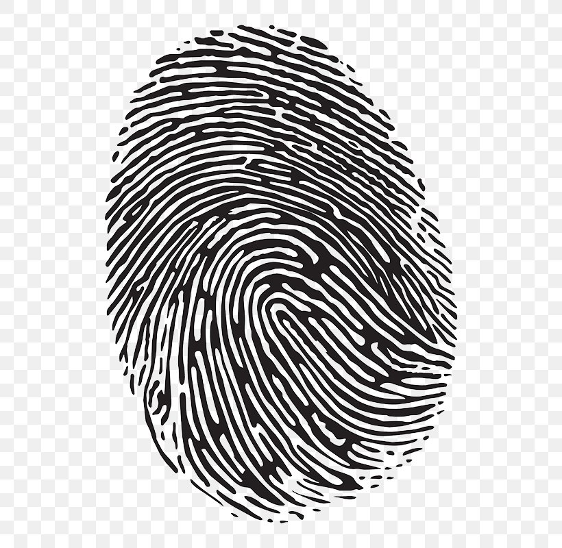 Fingerprint Crime Scene Forensic Science CSI Effect, PNG, 800x800px, Fingerprint, Automotive Tire, Biometrics, Black, Black And White Download Free