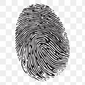 Fingerprint Magnifying Glass Forensic Science Magnification Clip Art ...