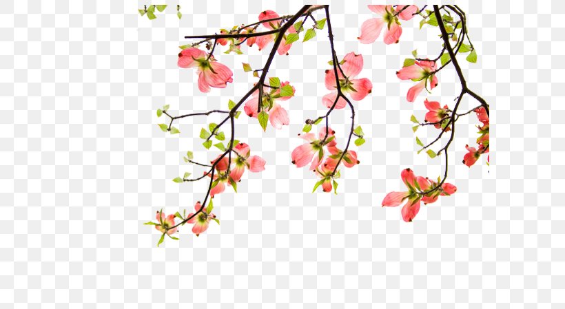 Flower Chinoiserie, PNG, 600x449px, Flower, Blossom, Branch, Cherry Blossom, Chinese Painting Download Free