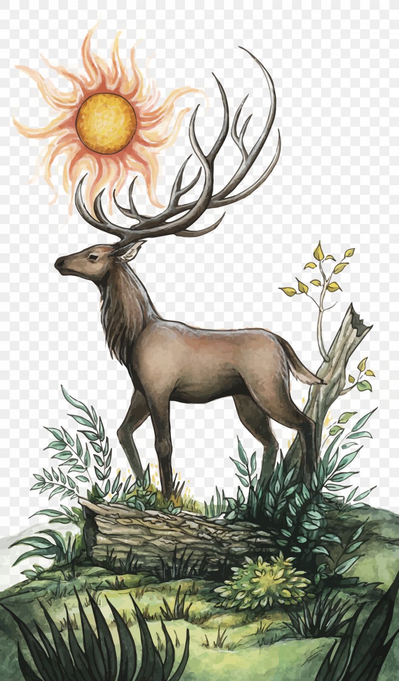 Vector Deer And Sun, PNG, 1500x2559px, Deer, Antler, Art, Color, Couch Download Free