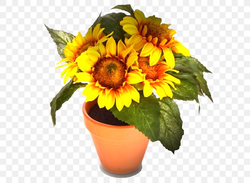 Common Sunflower Painting Cut Flowers, PNG, 600x600px, Common Sunflower, Artificial Flower, Cut Flowers, Daisy Family, Drawing Download Free