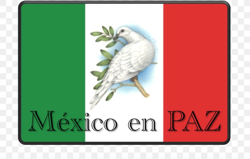 El Universal Peace Imagenes De Mexico Idea, PNG, 760x521px, Peace, Advertising, Beak, Binary Option, Bird Download Free
