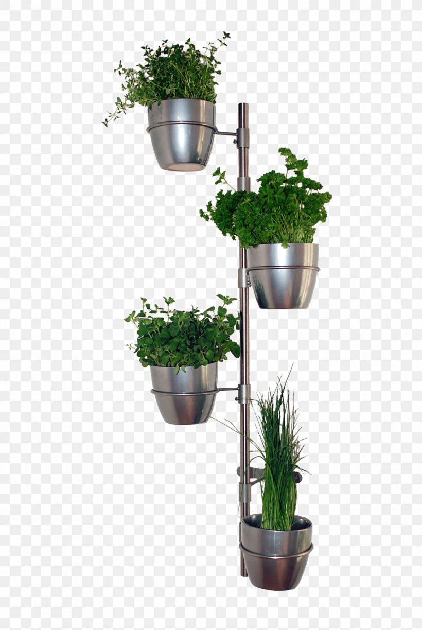 Flowerpot Houseplant University Of Economics, Prague, PNG, 1296x1936px, Flowerpot, Centimeter, Flower, Grass, Herb Download Free