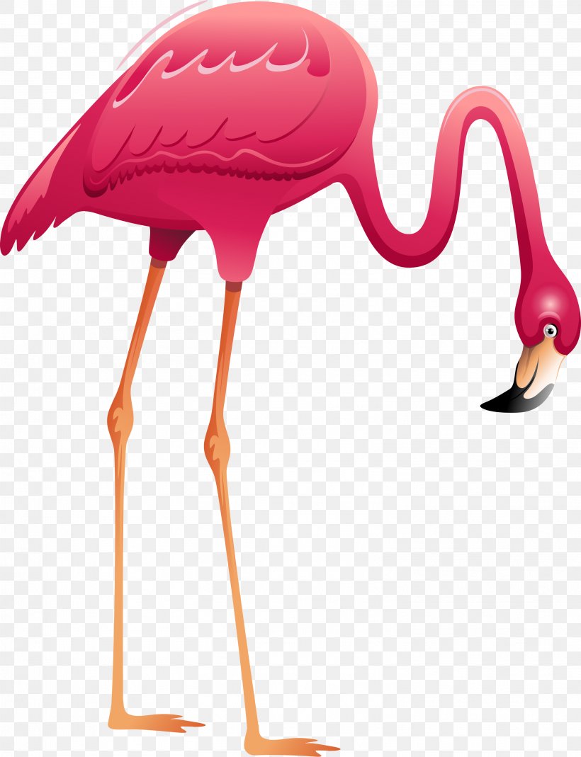 Greater Flamingo Mural Bird, PNG, 3017x3936px, Flamingo, Art, Beak, Bird, Crane Like Bird Download Free