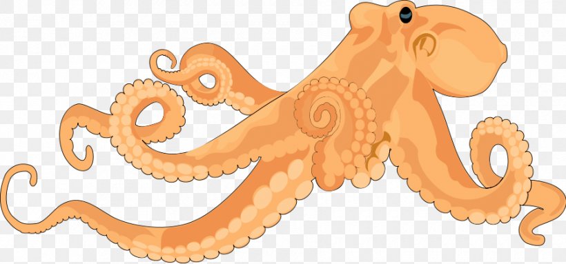 Octopus Free Content Clip Art, PNG, 900x421px, Octopus, Blog, Blueringed Octopus, Cartoon, Cephalopod Download Free