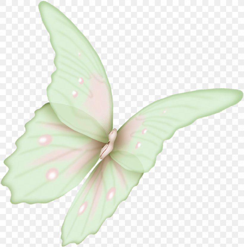 Butterfly Flight Wing Icon, PNG, 831x843px, Butterfly, Butterflies And Moths, Flight, Flower, Flying And Gliding Animals Download Free