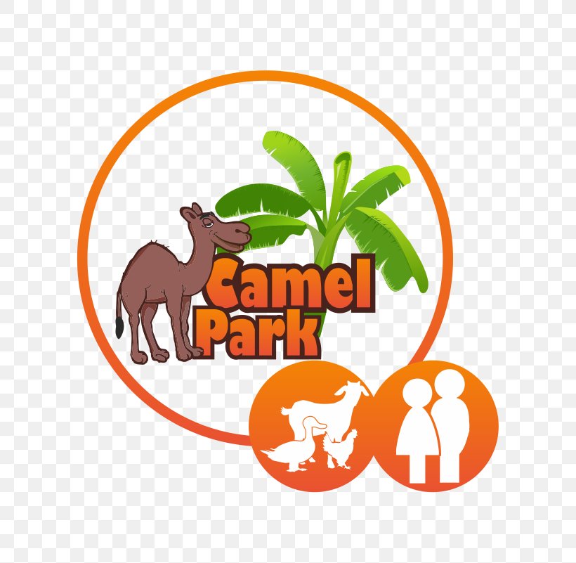 Camel Park Child Excursiones Tenerife, PNG, 601x801px, Camel, Adult, Area, Brand, Canary Islands Download Free