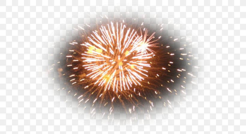 Fireworks Animaatio Artificier, PNG, 600x449px, Fireworks, Adobe Fireworks, Animaatio, Artificier, Bastille Day Download Free