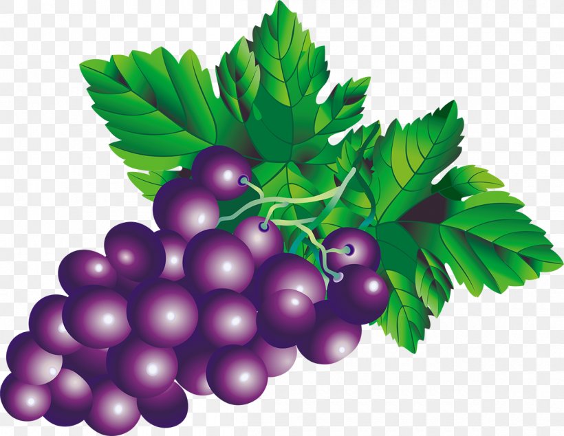Juice Fruit Grape Drawing, PNG, 1200x928px, Juice, Art, Berry, Bilberry, Currant Download Free