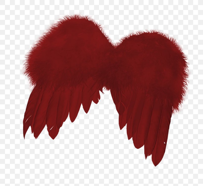 Fur Heart White, PNG, 800x749px, Red, Feather, Fur, Heart, White Download Free