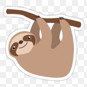 Sloth Images Sloth Transparent Png Free Download - sloth decal roblox