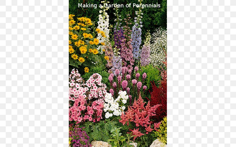 Cottage Garden Perennial Plant Flower Garden, PNG, 512x512px, Cottage Garden, Annual Plant, Bulb, Delphinium, Flower Download Free
