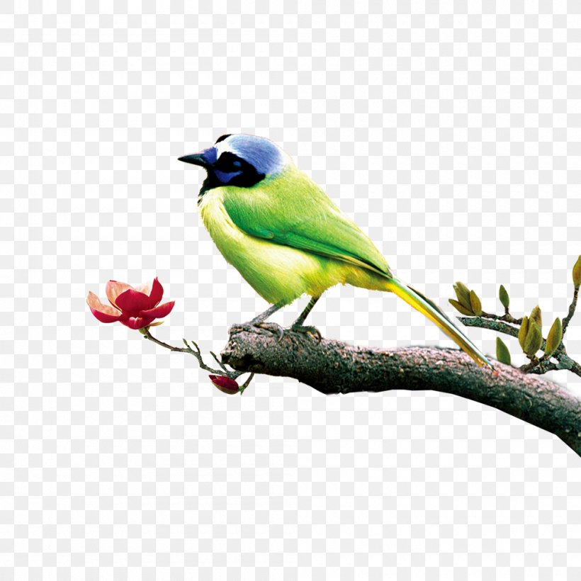 Poster Chinoiserie, PNG, 1000x1000px, Poster, Art, Beak, Bird, Branch Download Free