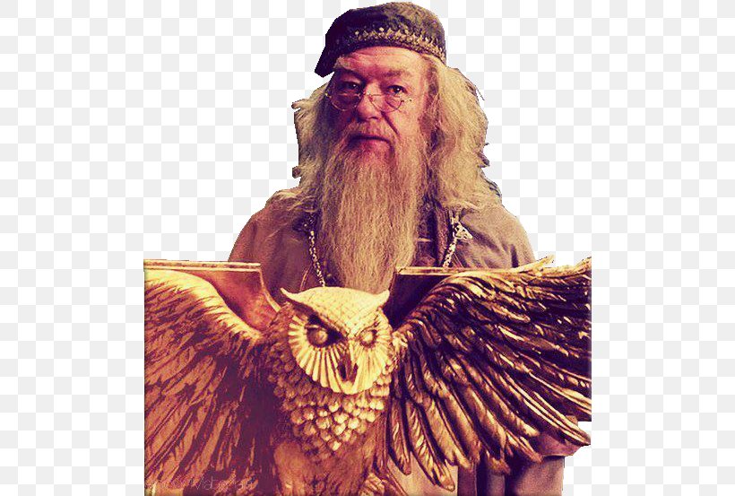 Beard Albus Dumbledore Harry Potter And The Goblet Of Fire Moustache Harry Potter Film Series, PNG, 500x553px, Beard, Albus Dumbledore, Facial Hair, Hair, Harry Potter And The Goblet Of Fire Download Free