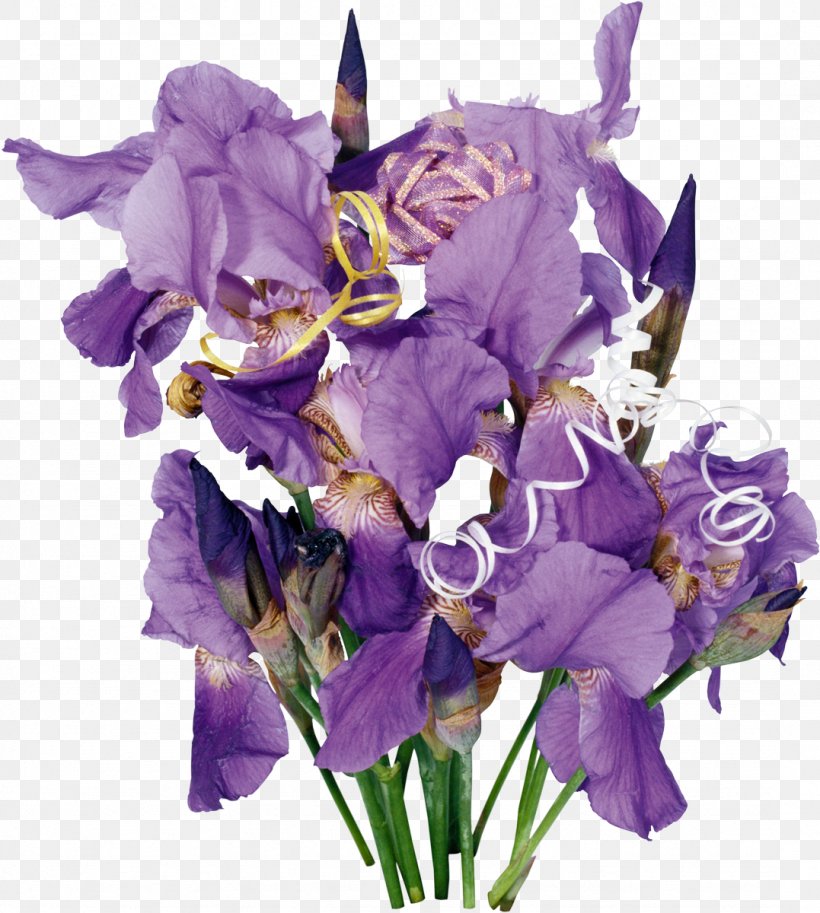 Cut Flowers Irises Wall Iris Flower Bouquet, PNG, 1077x1200px, Flower, Cattleya, Cut Flowers, Floral Design, Flower Bouquet Download Free