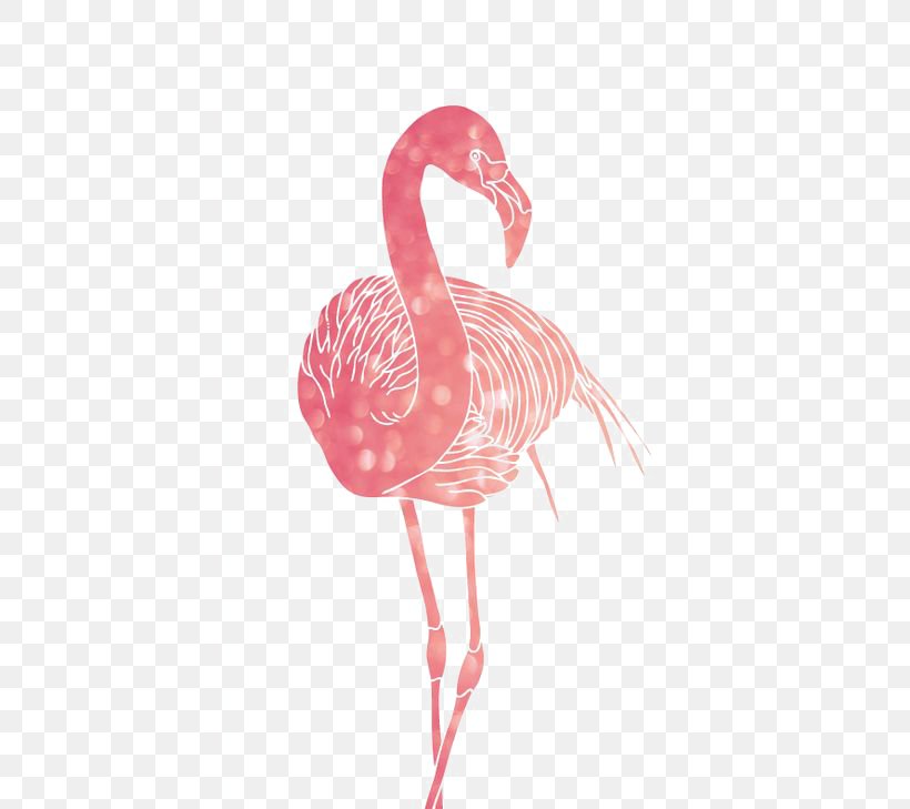 Greater Flamingo American Flamingo Bird, PNG, 564x729px, Watercolor, Cartoon, Flower, Frame, Heart Download Free