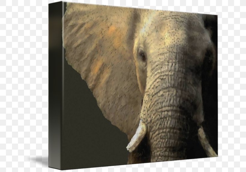 Indian Elephant African Elephant Tusk Wildlife Elephantidae, PNG, 650x575px, Indian Elephant, African Elephant, Animal, Elephant, Elephantidae Download Free