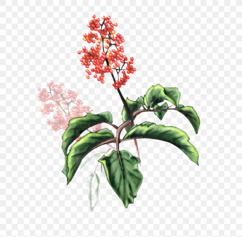 Lilac Flower, PNG, 1234x1210px, Leaf, Branch, Flower, Flowerpot, Herb Download Free