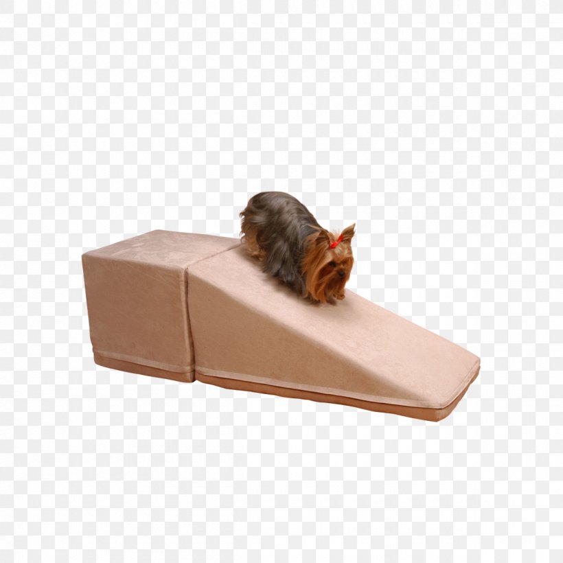 Pet Cat Tree Bed Furniture, PNG, 1200x1200px, Pet, Bed, Box, Cat, Cat Tree Download Free