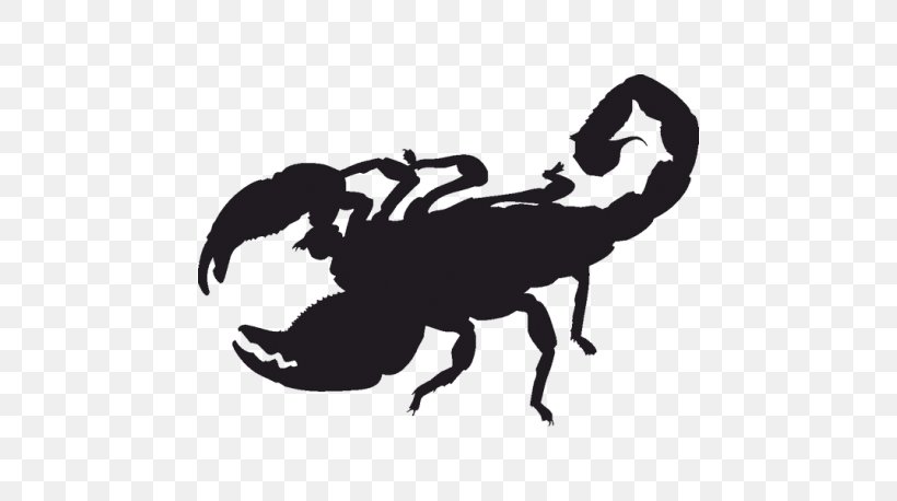Scorpion Silhouette Clip Art, PNG, 458x458px, Scorpion, Arthropod, Black And White, Decal, Drawing Download Free