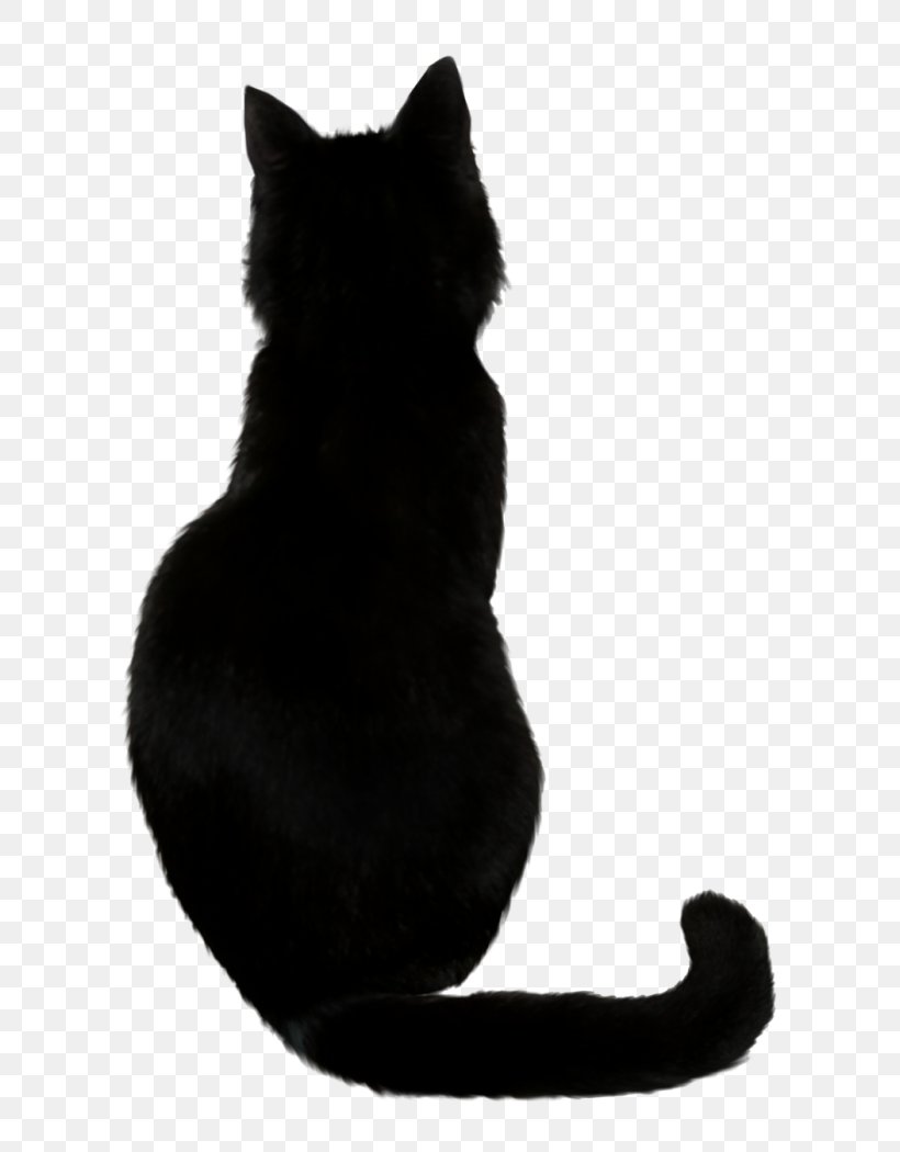 Black Cat Drawing Kitten, PNG, 700x1050px, Watercolor, Cartoon, Flower, Frame, Heart Download Free