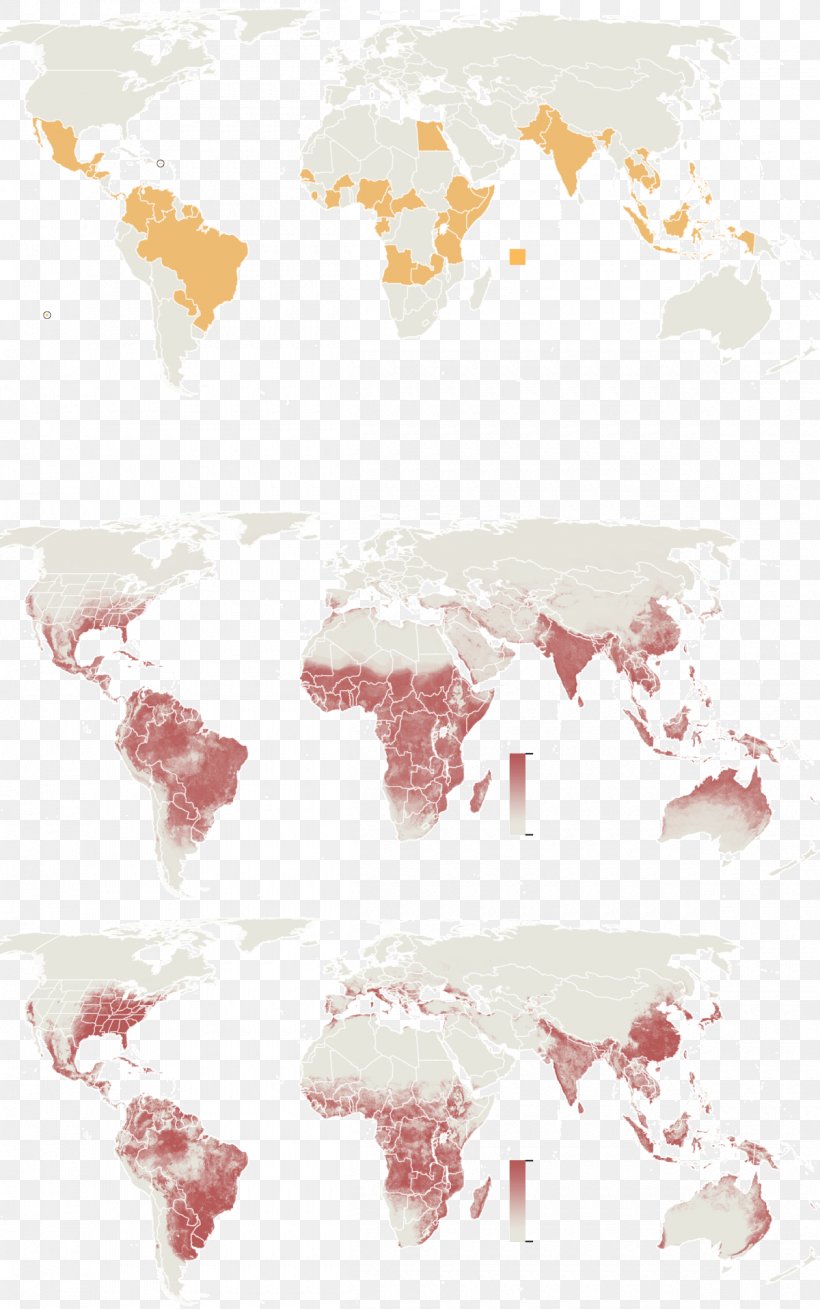 Cartography Zika Virus Map Geography Microcephaly, PNG, 1200x1916px, Cartography, Geography, Infection, Infographic, Information Download Free