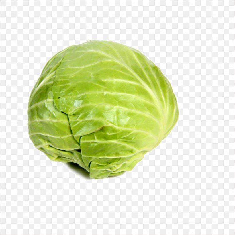 Cabbage Leaf Vegetable Food, PNG, 1773x1773px, Cabbage, Chinese Cabbage, Ecology, Food, Google Images Download Free