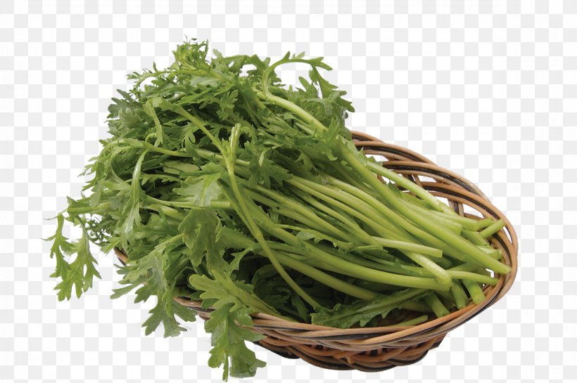 Glebionis Coronaria Hot Pot Vegetable Eating, PNG, 1181x785px, Glebionis Coronaria, Chrysanthemum, Cooking, Daisy Family, Dietary Fiber Download Free