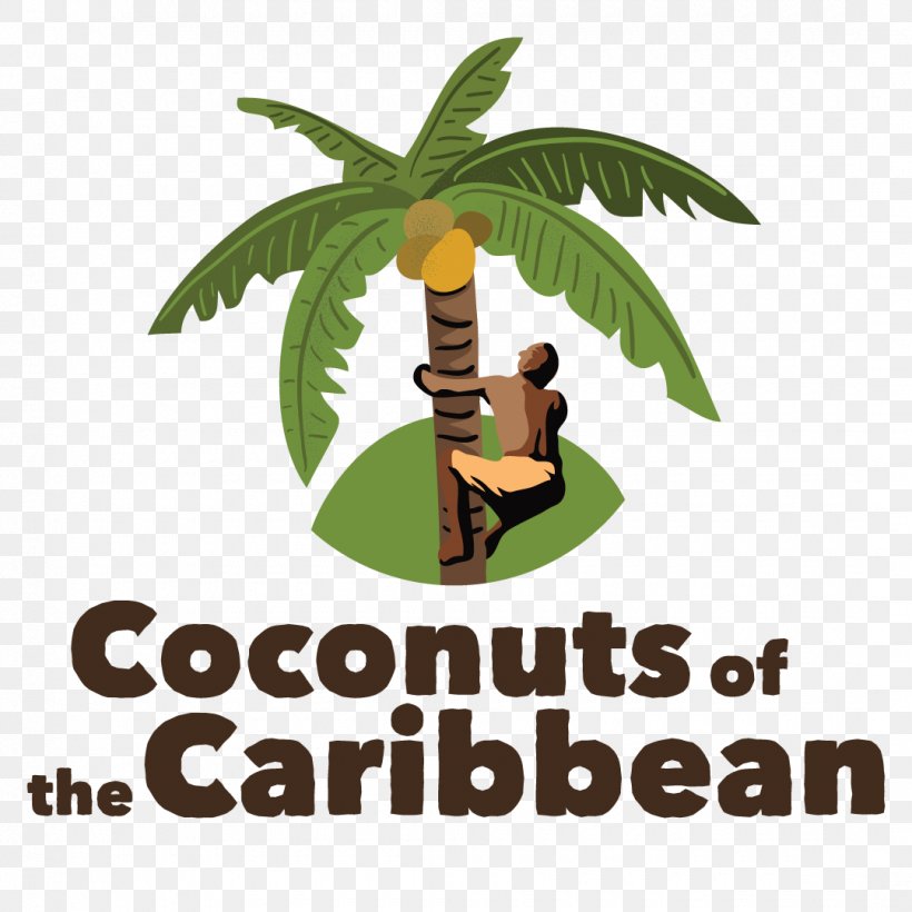 Coconut Day Jamaica Trinidad Tree, PNG, 1080x1080px, Coconut, Caribbean, Coconut Day, Coconut Oil, Coldpressed Juice Download Free